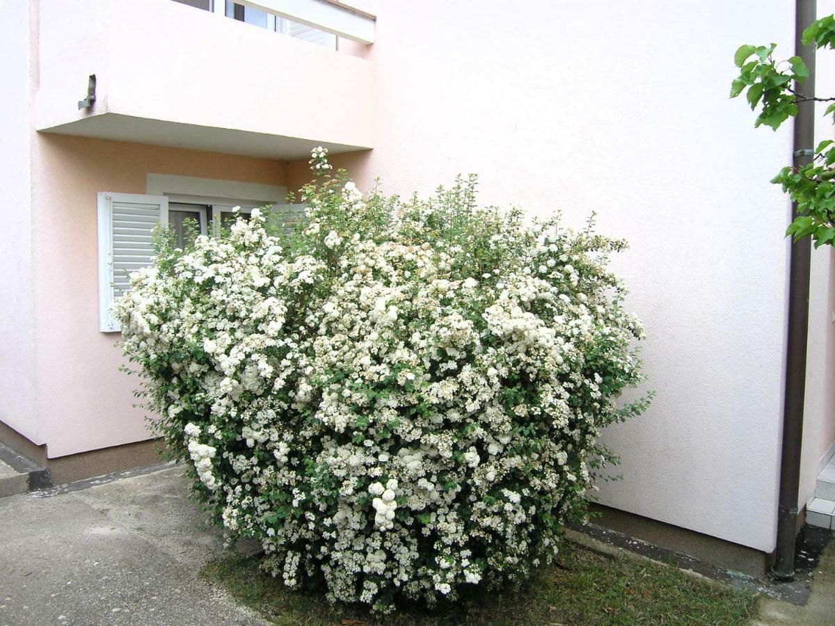 Apartments Sokolovic คิร์ก ภายนอก รูปภาพ